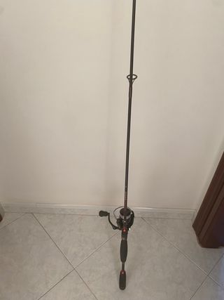 Caña de spinning + carrete