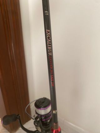 Caña de spinning + carrete