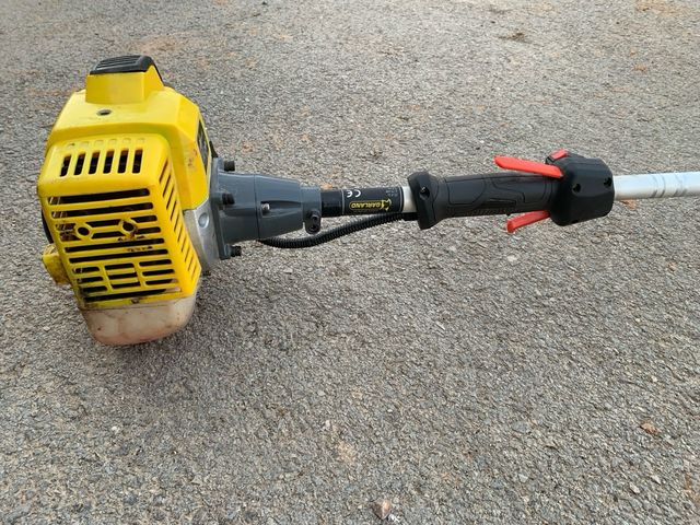 Vareador de aceitunas Garland