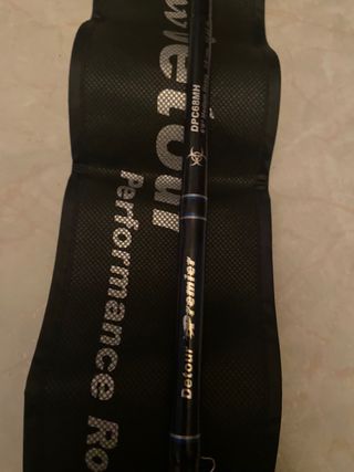 Caña casting Detour Premier Quarrou