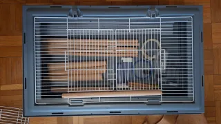 Jaula grande Neo jily xl para agapornis ,ninfas...