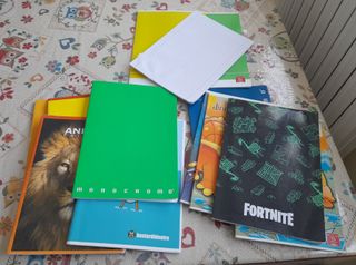 Lotto quaderni scolastici assortiti