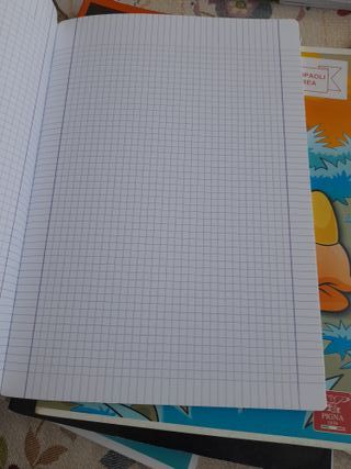 Lotto quaderni scolastici assortiti