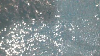 Falda lentejuelas azul y plateada