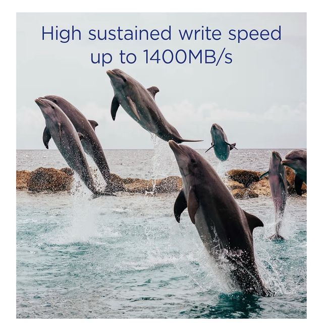 Scheda Memoria CFexpress Integral 256GB Fotografia