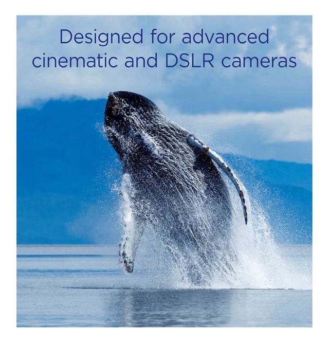 Scheda Memoria CFexpress Integral 256GB Fotografia