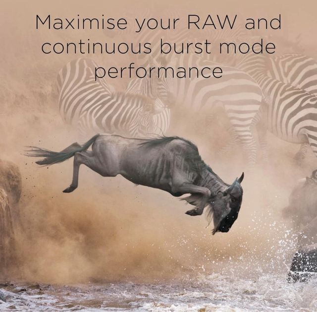 Scheda Memoria CFexpress Integral 256GB Fotografia