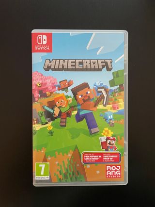 Minecraft Nintendo Switch