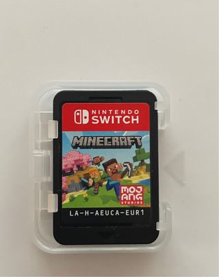 Minecraft Nintendo Switch