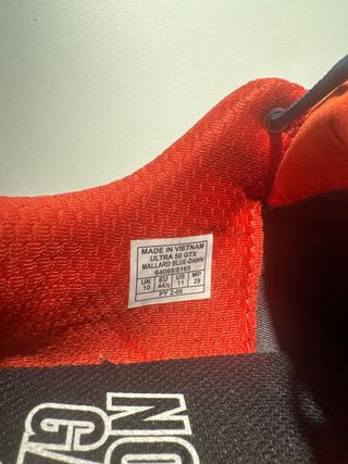 Zapatillas Dynafit Ultra 50 Gore-Tex Azul/Rojo