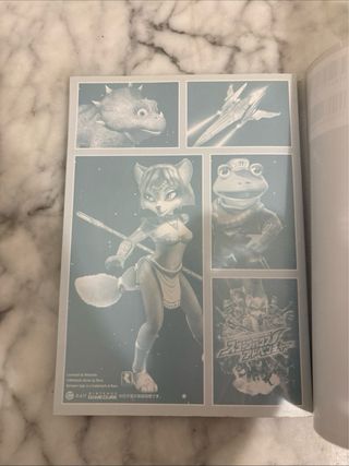 Guide Star Fox Adventures Gamecube JP