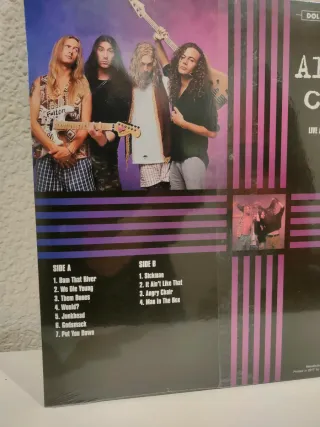 Alice In Chains