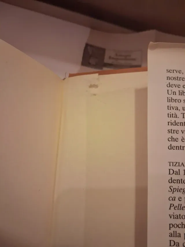 Un Altro Giro di Giostra