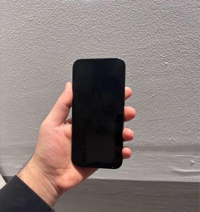 iPhone 13 Pro Blu Alpino