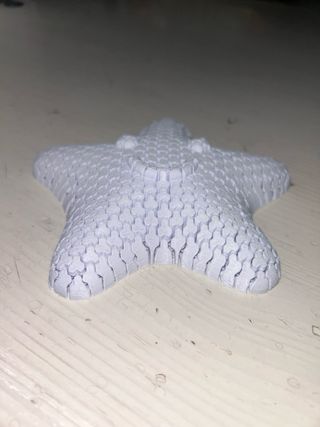 Stella 3D stampata in plastica