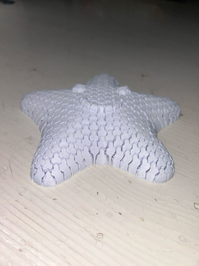 Stella 3D stampata in plastica