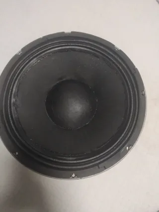 Altavoz Peavey Black Widow 1208