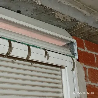 Técnico profesional