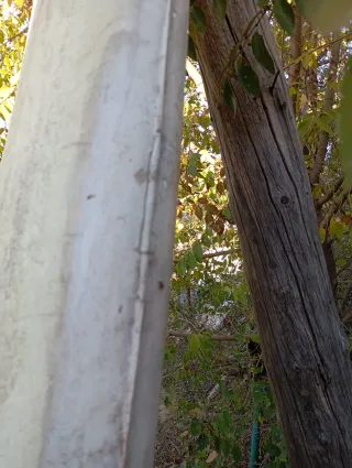 Tabla de surf para restaurar