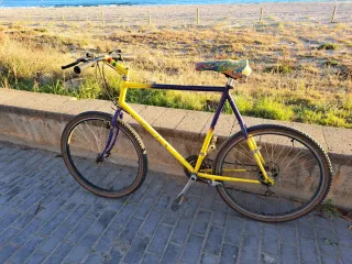 MTB Muddy Fox - Pathfinder