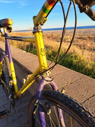 MTB Muddy Fox - Pathfinder