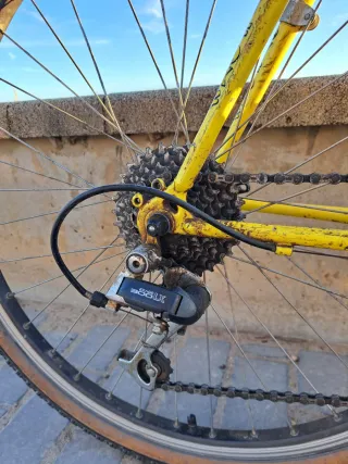 MTB Muddy Fox - Pathfinder