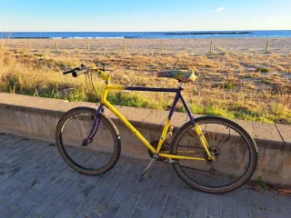 MTB Muddy Fox - Pathfinder