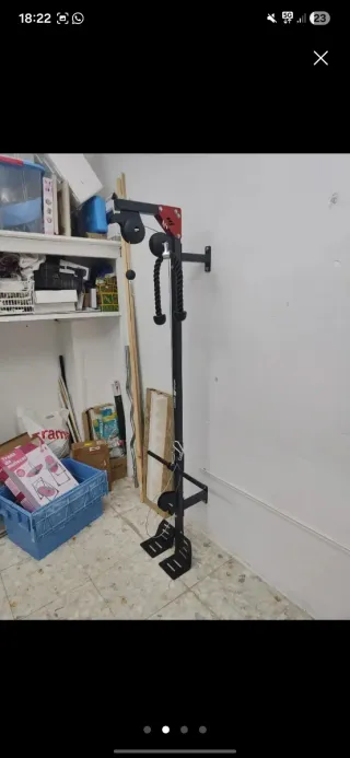 Máquina de Espalda y Remo