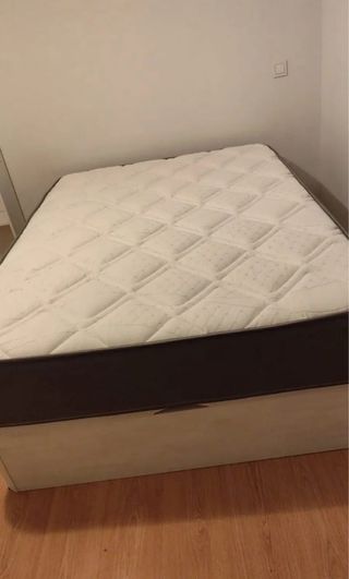 Canapé cama individual