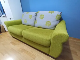 Sofá cama 2 plazas verde y gris.