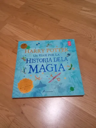 Harry Potter: Un viaje por la historia de la ma...