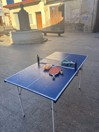 Mesa Ping Pong Artengo Plegable