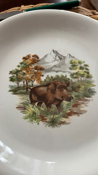 Vajilla Pontesa Animales Bosque