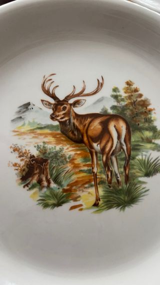 Vajilla Pontesa Animales Bosque