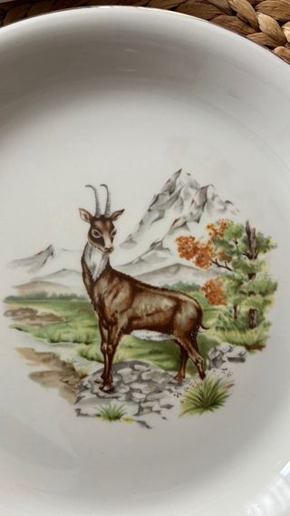 Vajilla Pontesa Animales Bosque