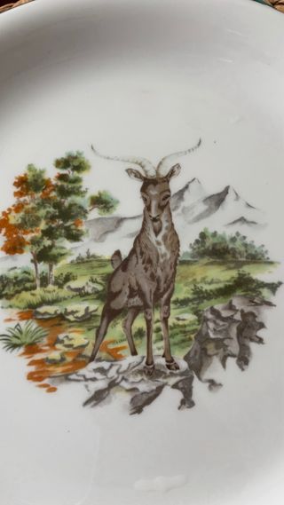 Vajilla Pontesa Animales Bosque