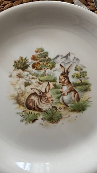 Vajilla Pontesa Animales Bosque