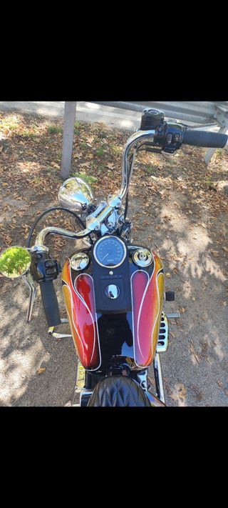 Harley Davidson Springer Chopper