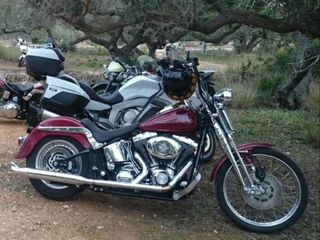 Harley Davidson Springer Chopper