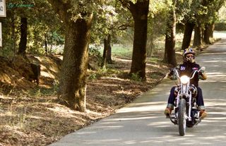 Harley Davidson Springer Chopper