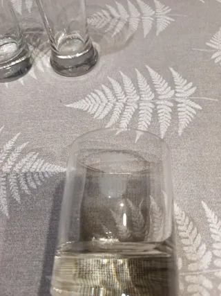 Juego 17 vasos Escudo Aragón tallado en cada vaso