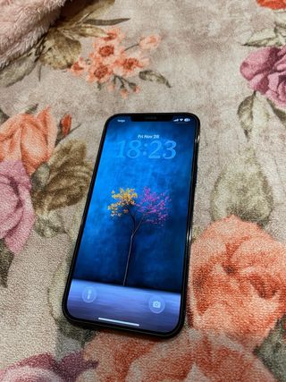 iPhone 12 Pro max , 256GB