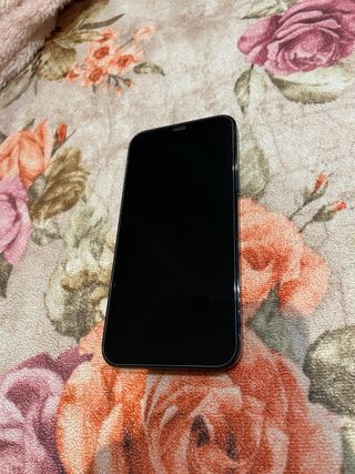 iPhone 12 Pro max , 256GB