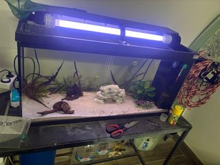 Acuario 100L Negro y Transparente