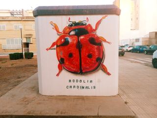 Mural diseño pintor comercio persiana