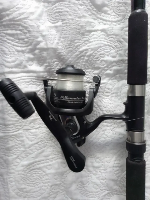 Caña de pesca con carrete y funda