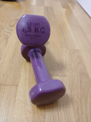 2 Mancuernas Moradas 1,5 kg