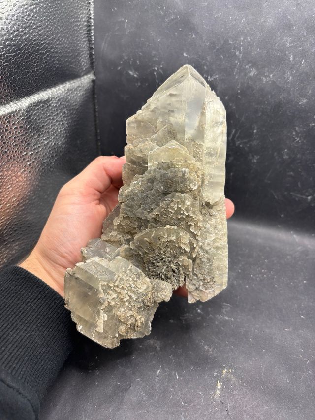 Gesso Minerale - Farneto, Bologna (KK) 19cm