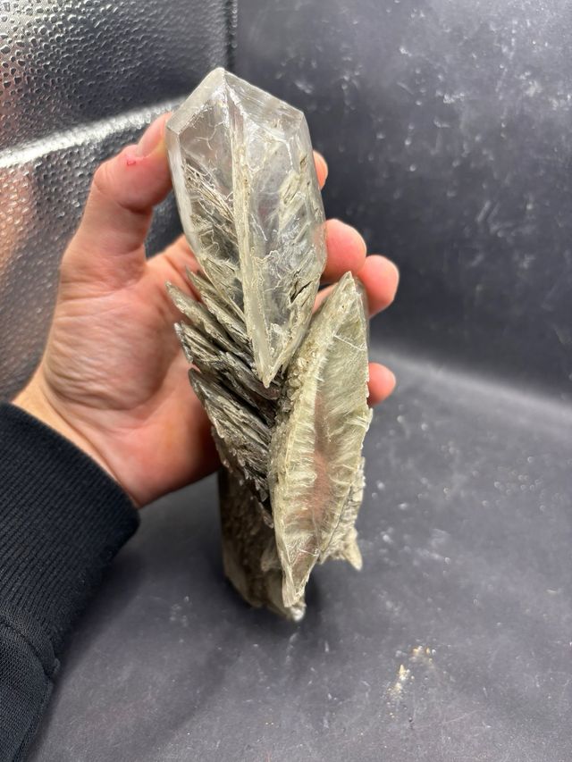 Gesso Minerale - Farneto, Bologna (KK) 19cm