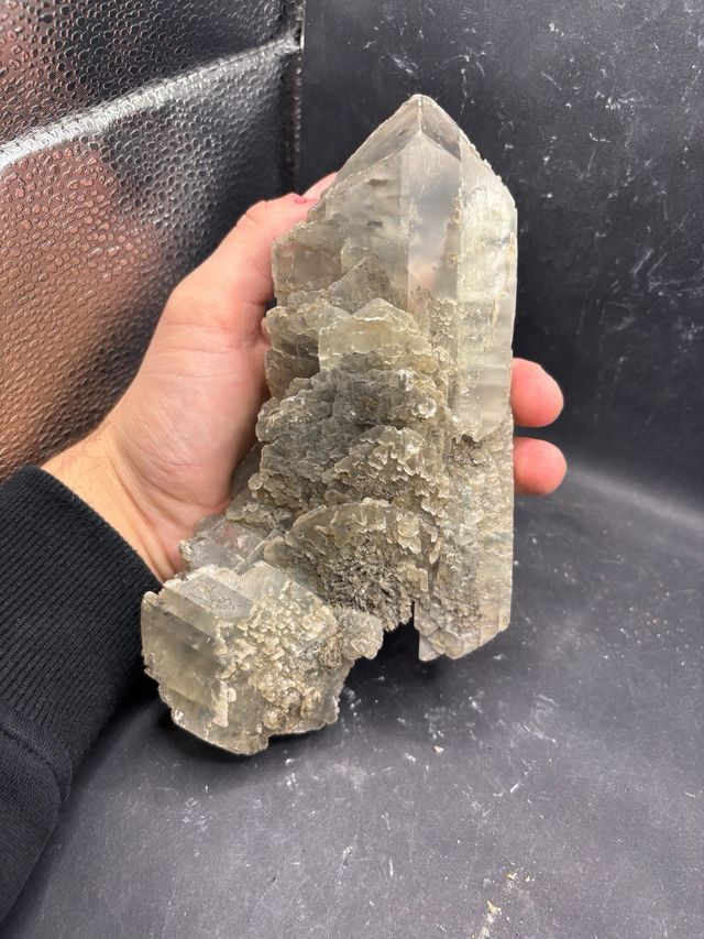 Gesso Minerale - Farneto, Bologna (KK) 19cm